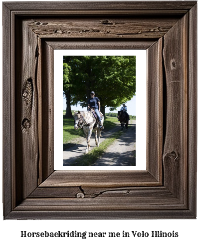 horseback riding near me in Volo, Illinois